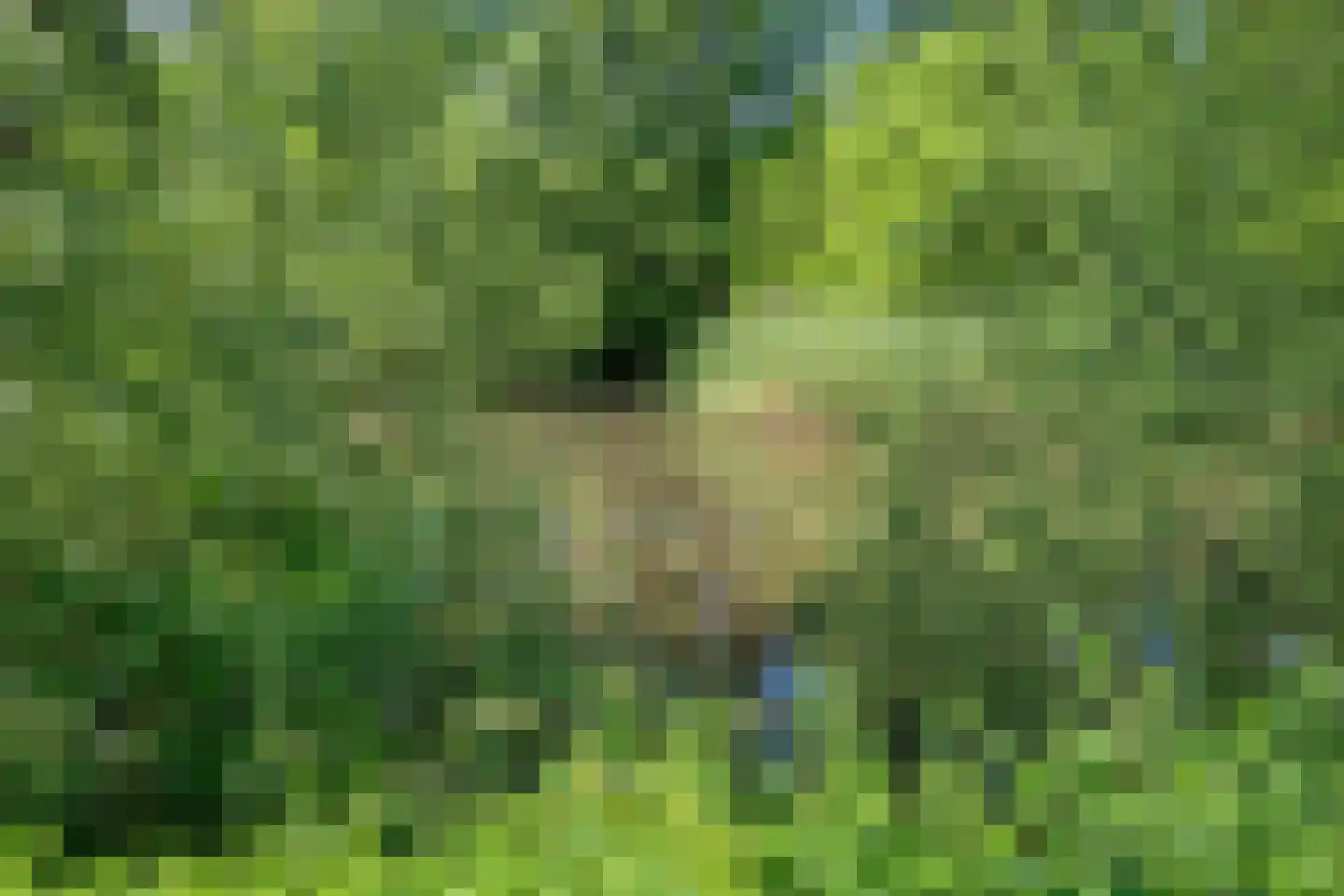 Het Erf 5 Gassel thumbnail 56