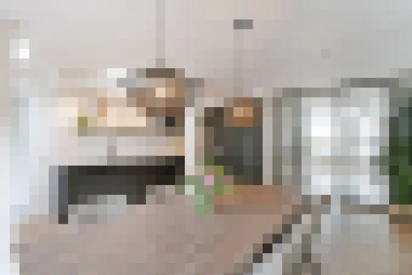 Het Erf 6 Bovenkarspel foto 3