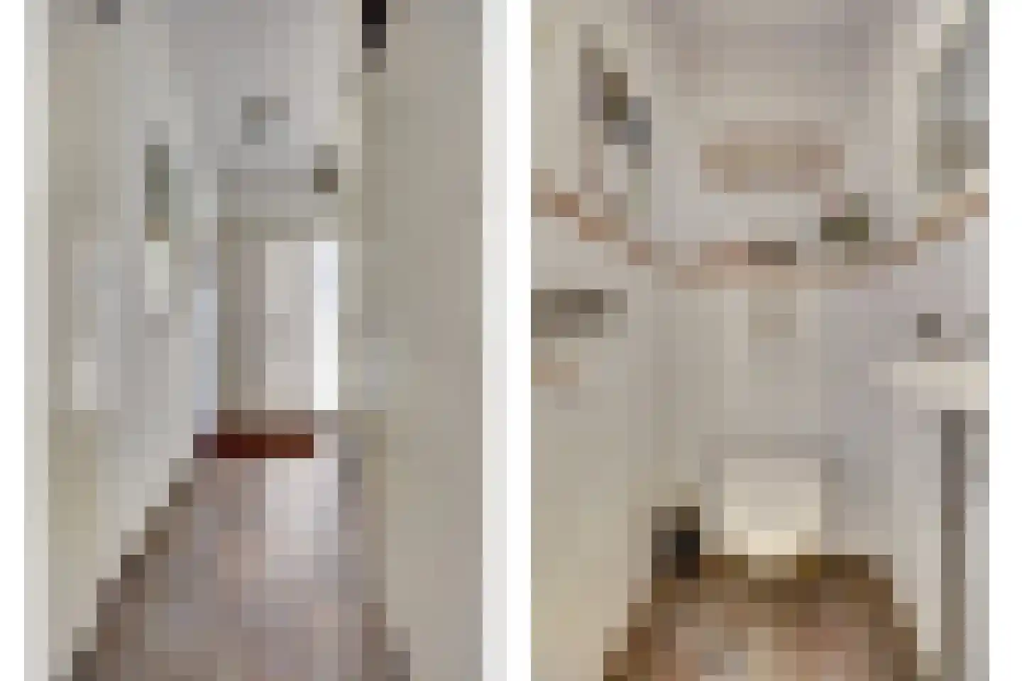 Het Erf 89 Biddinghuizen thumbnail 10