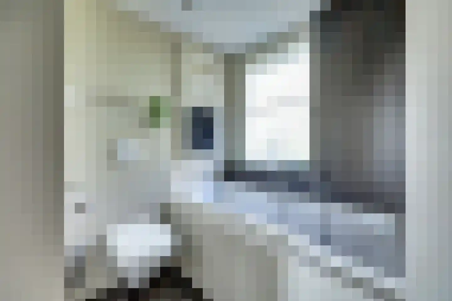 Het Erf 89 Biddinghuizen thumbnail 17