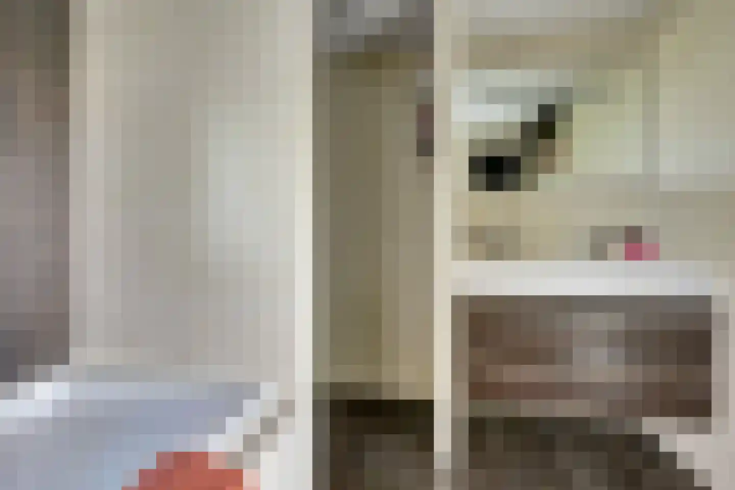 Het Erf 89 Biddinghuizen thumbnail 18