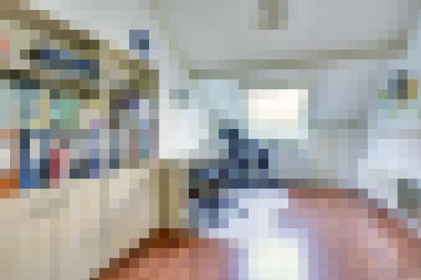 Het Erf 89 Biddinghuizen thumbnail 22
