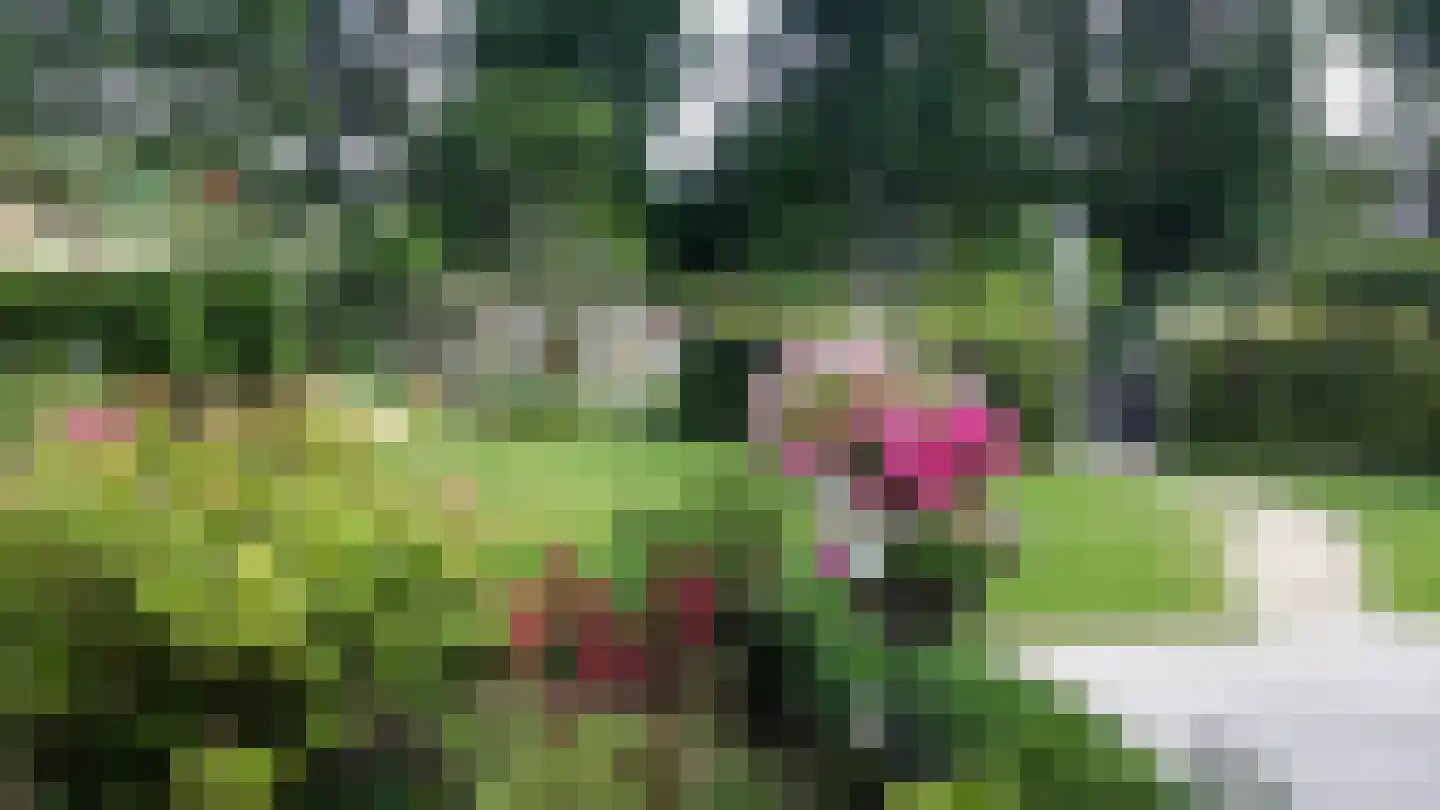 Het Erf 89 Biddinghuizen thumbnail 31