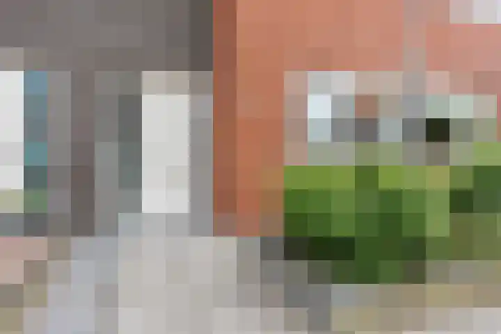 Het Erf 9 Zegveld foto 2