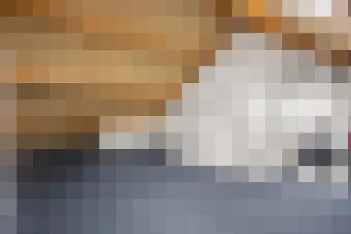 Het Erf 9 Zegveld thumbnail 22