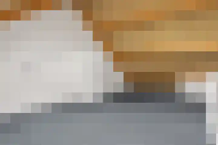 Het Erf 9 Zegveld thumbnail 23