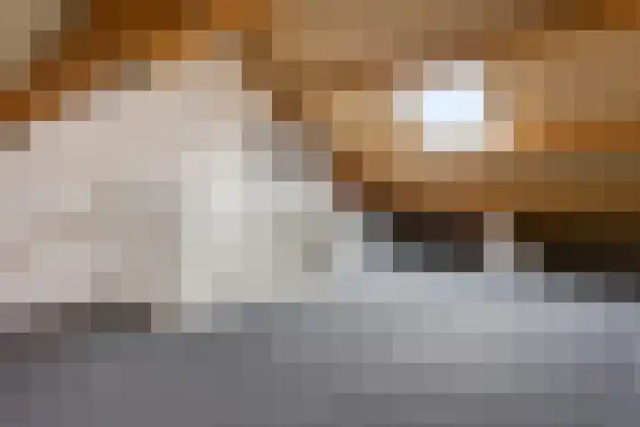 Het Erf 9 Zegveld thumbnail 24