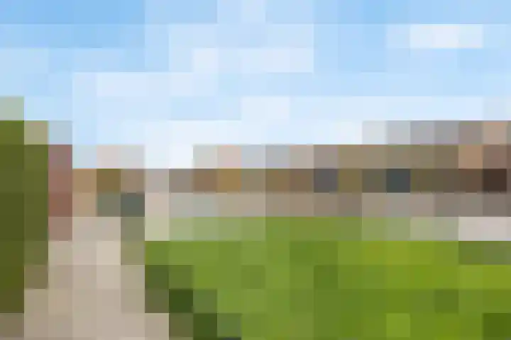 Het Erf 9 Zegveld thumbnail 31