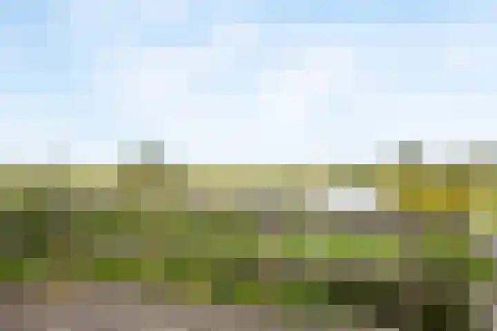 Het Erf 9 Zegveld thumbnail 32