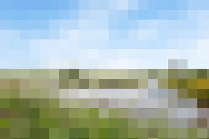Het Erf 9 Zegveld thumbnail 33