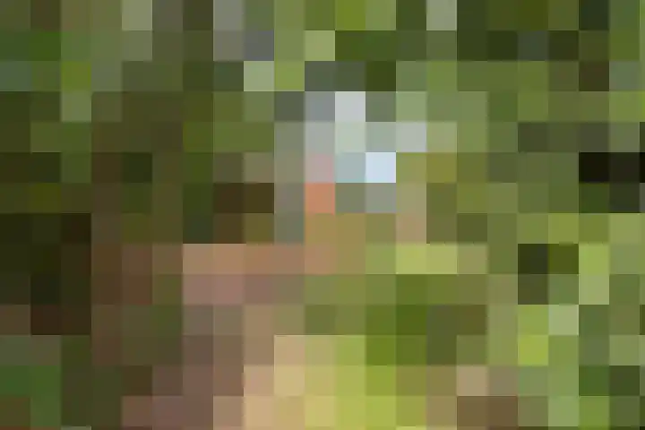Het Erf 9 Zegveld thumbnail 34