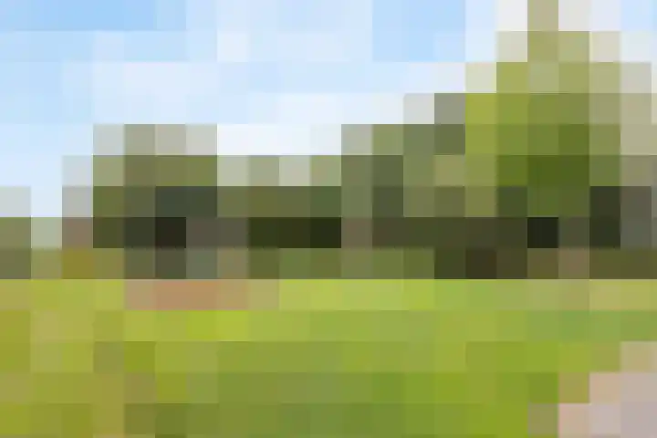Het Erf 9 Zegveld thumbnail 35