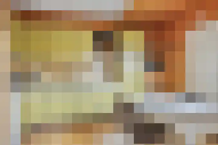 Het Erf 91 Biddinghuizen thumbnail 14