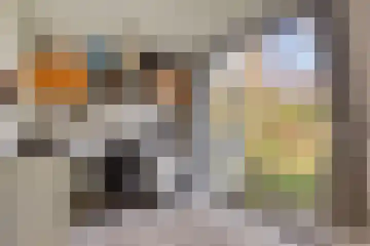 Het Erf 91 Biddinghuizen thumbnail 19