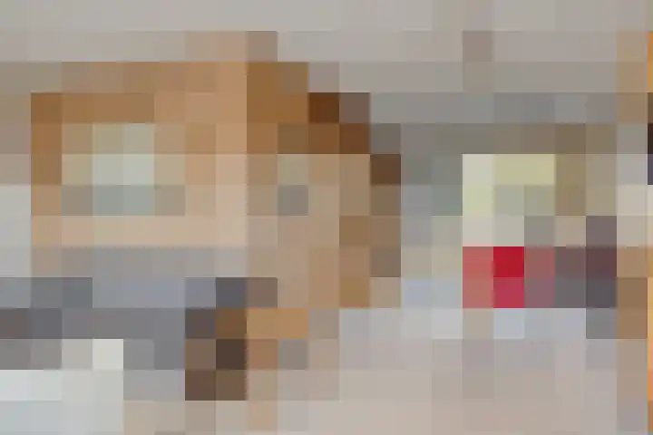 Het Erf 91 Biddinghuizen foto 2