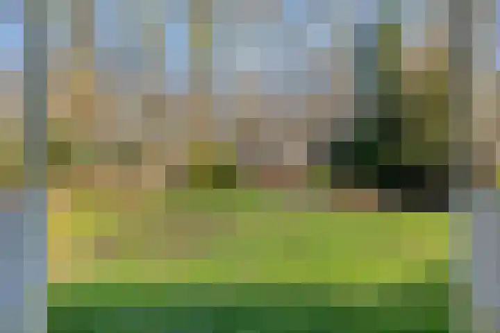 Het Erf 91 Biddinghuizen thumbnail 20
