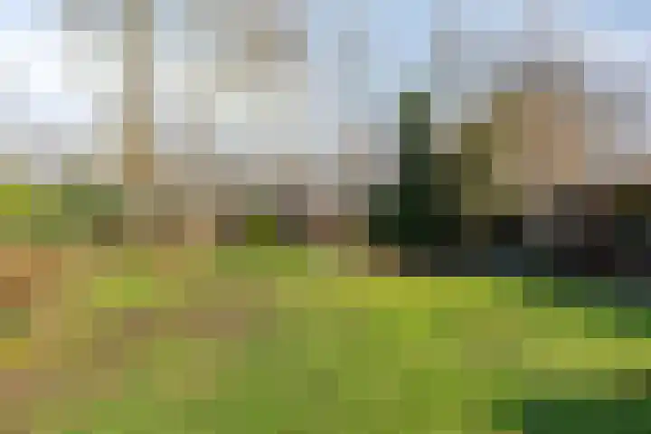 Het Erf 91 Biddinghuizen thumbnail 36