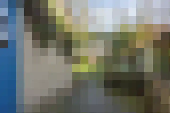 Het Erf 91 Biddinghuizen thumbnail 42