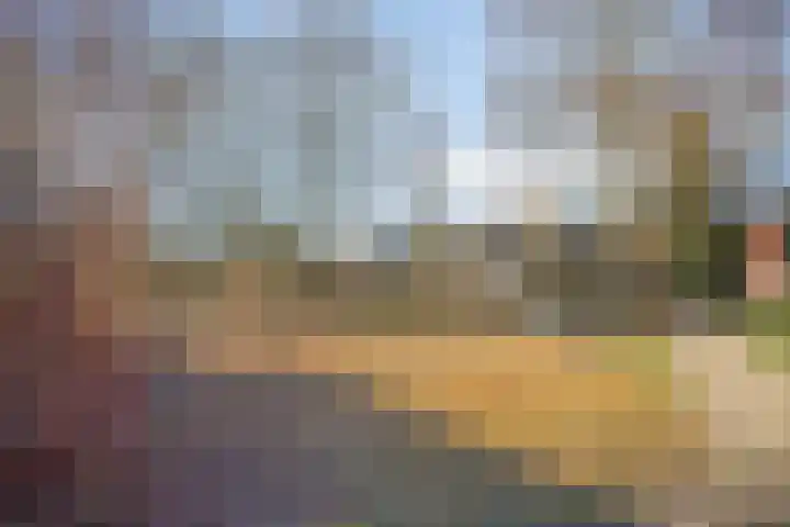 Het Erf 91 Biddinghuizen thumbnail 45