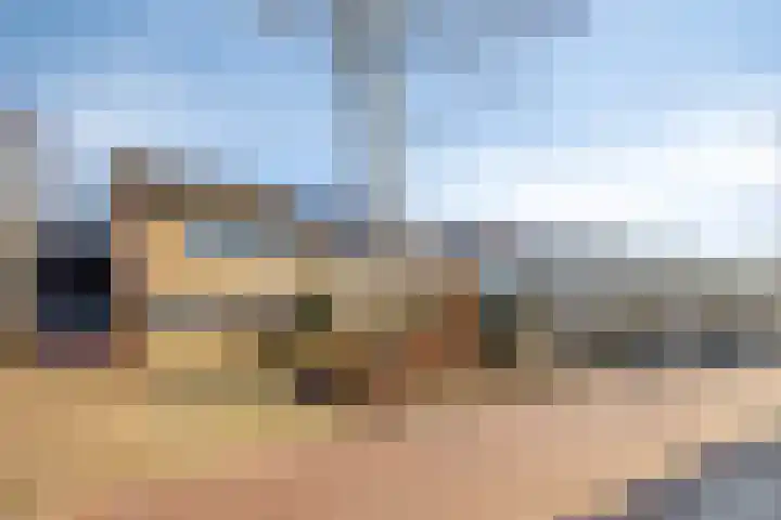 Het Erf 91 Biddinghuizen thumbnail 48