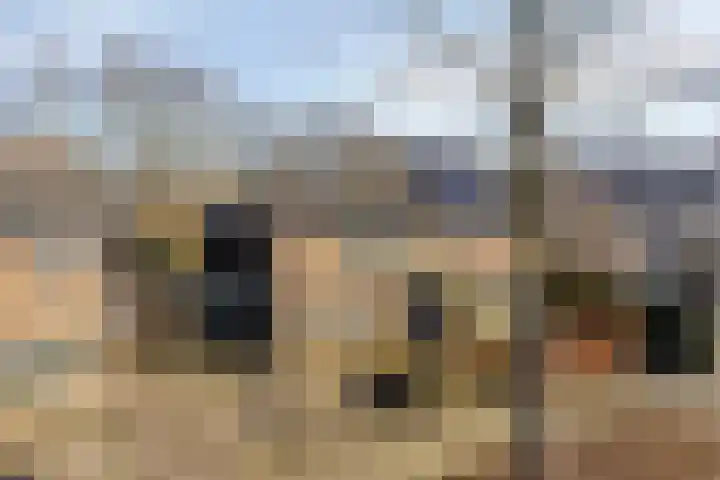 Het Erf 91 Biddinghuizen thumbnail 51
