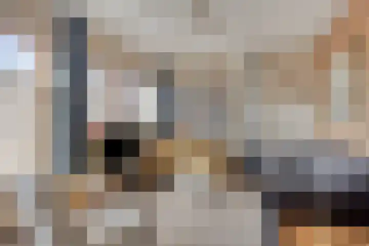 Het Erf 91 Biddinghuizen thumbnail 8
