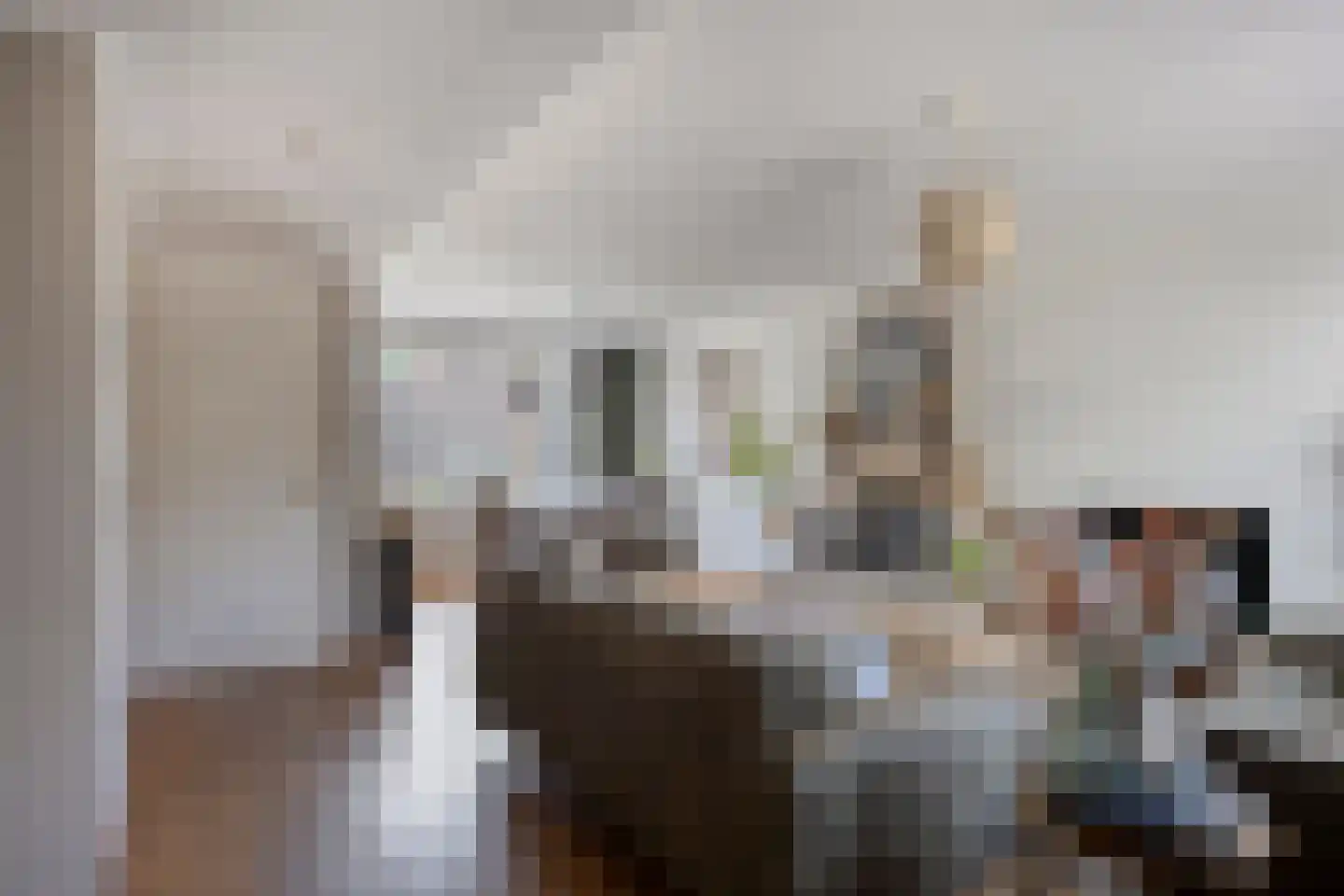 Het Erp 23 Nistelrode thumbnail 11