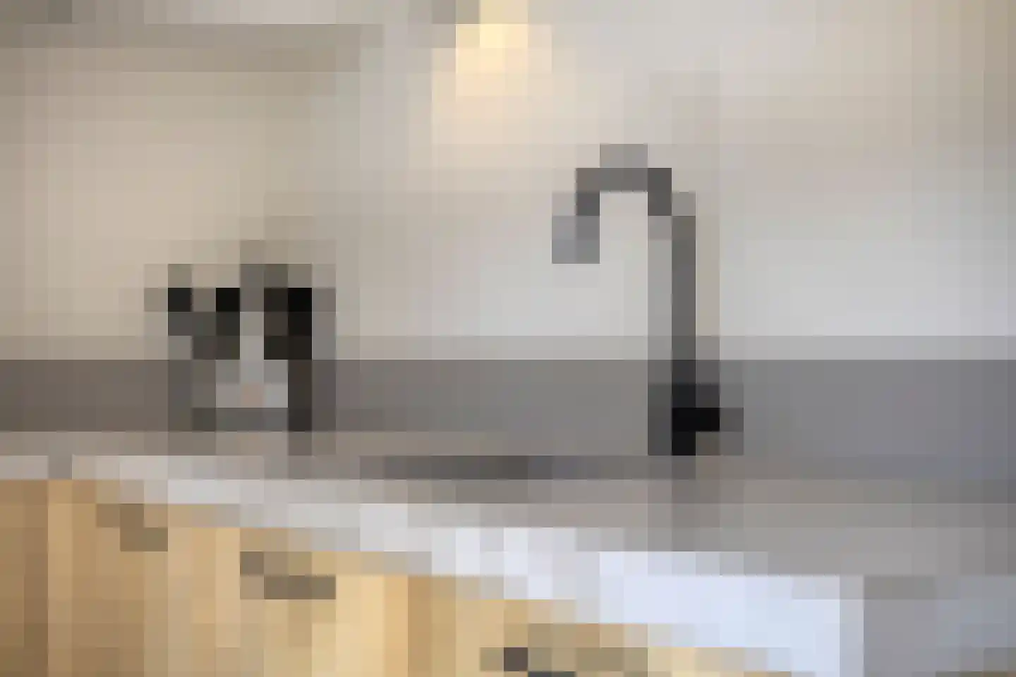Het Erp 23 Nistelrode thumbnail 16