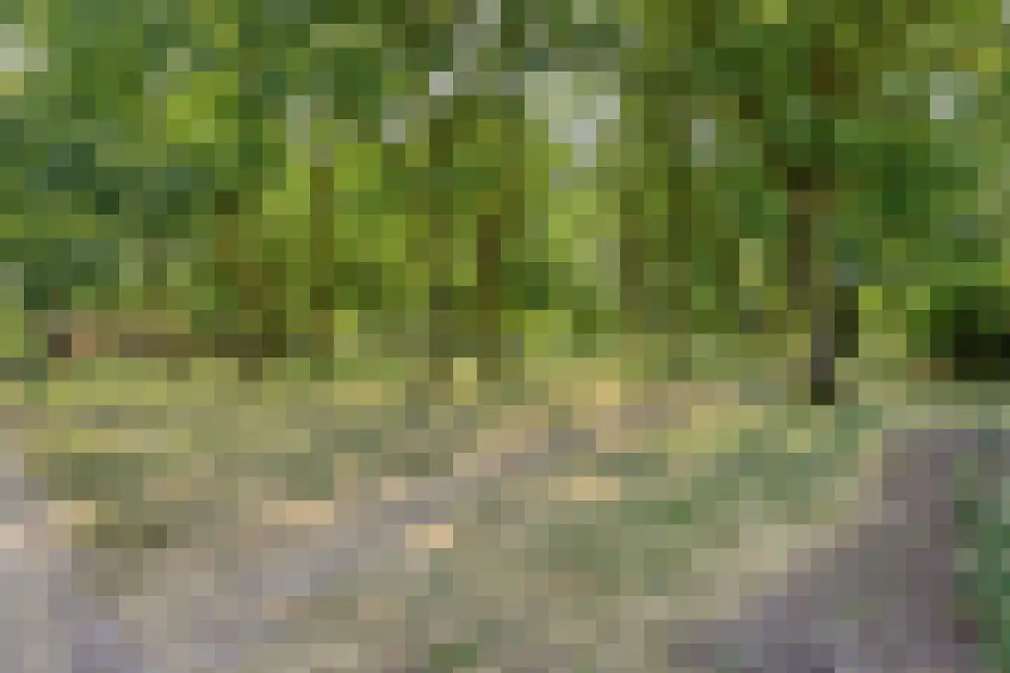 Het Erp 23 Nistelrode thumbnail 38