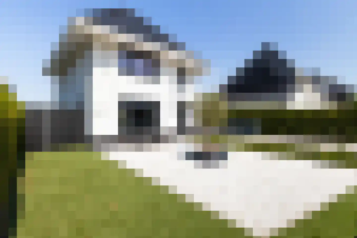 Het Everloo 11 Lelystad thumbnail 73