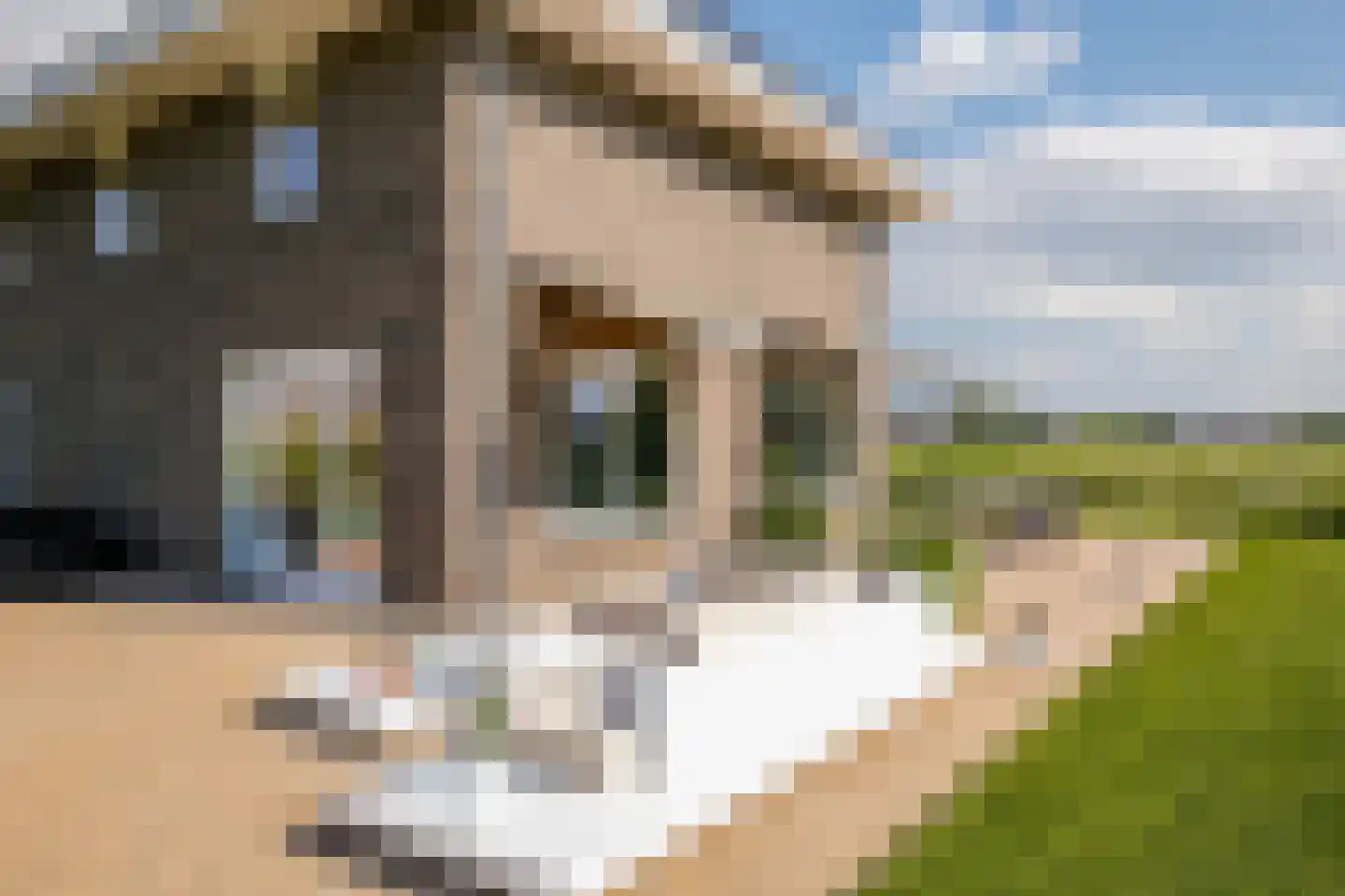 Het Everloo 118 Lelystad thumbnail 49