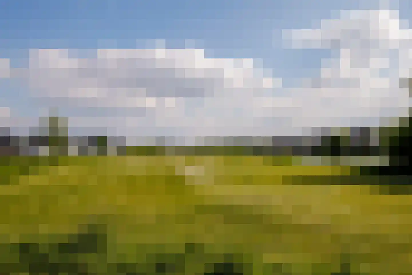 Het Everloo 118 Lelystad thumbnail 57