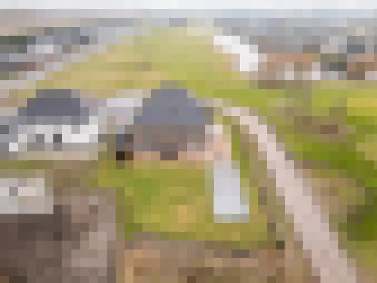 Het Everloo 118 Lelystad thumbnail 60