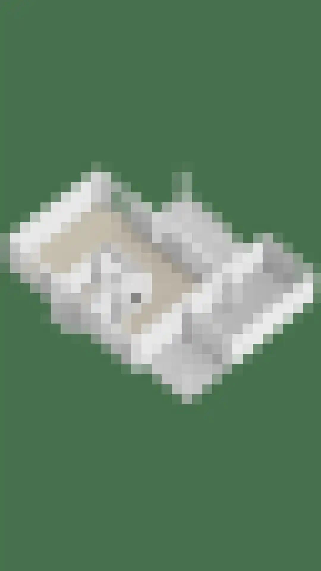 Het Everloo 35 Lelystad thumbnail 43