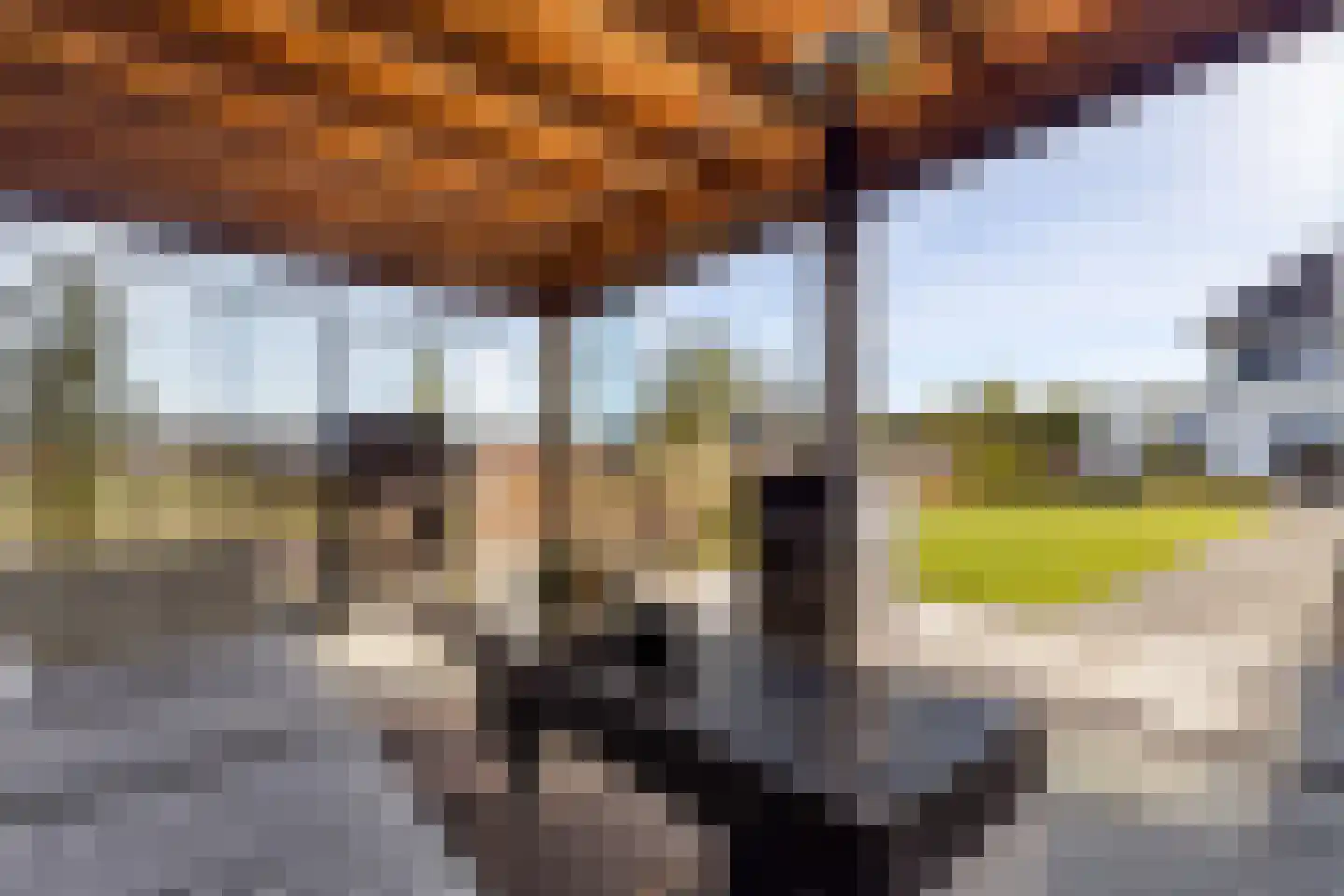 Het Everloo 87 Lelystad thumbnail 56