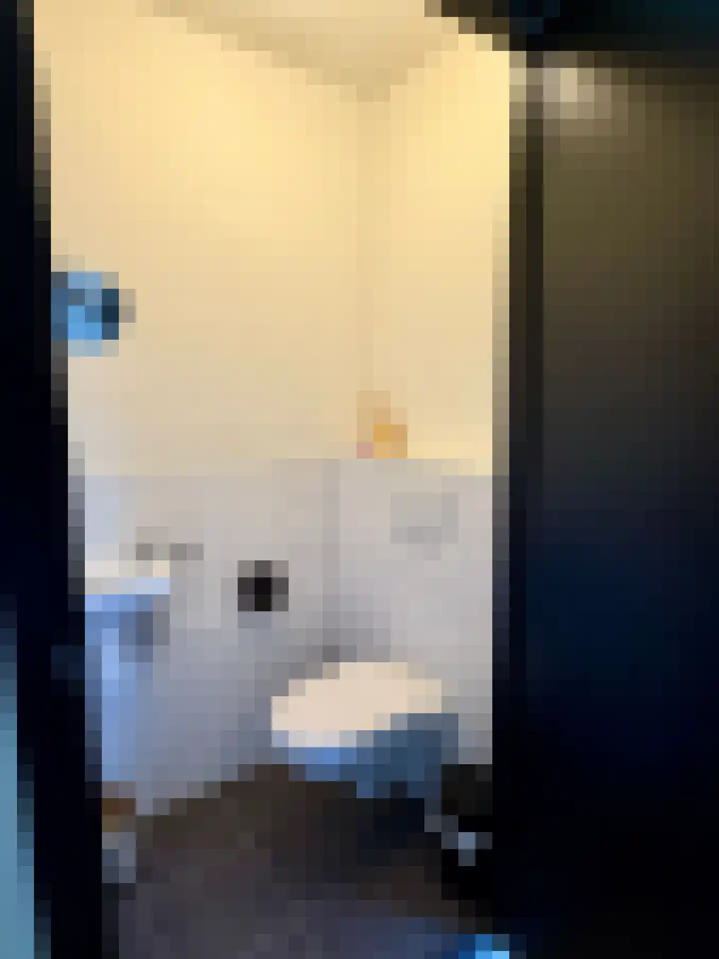Het Eyland 4 Sint Nicolaasga thumbnail 12