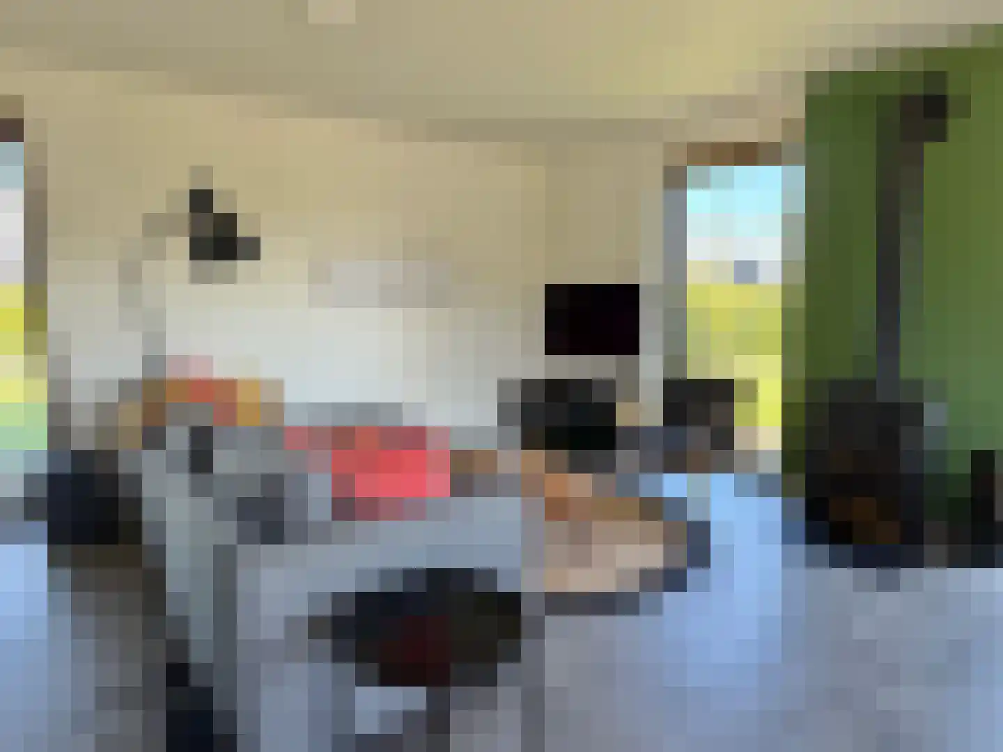 Het Eyland 4 Sint Nicolaasga thumbnail 25