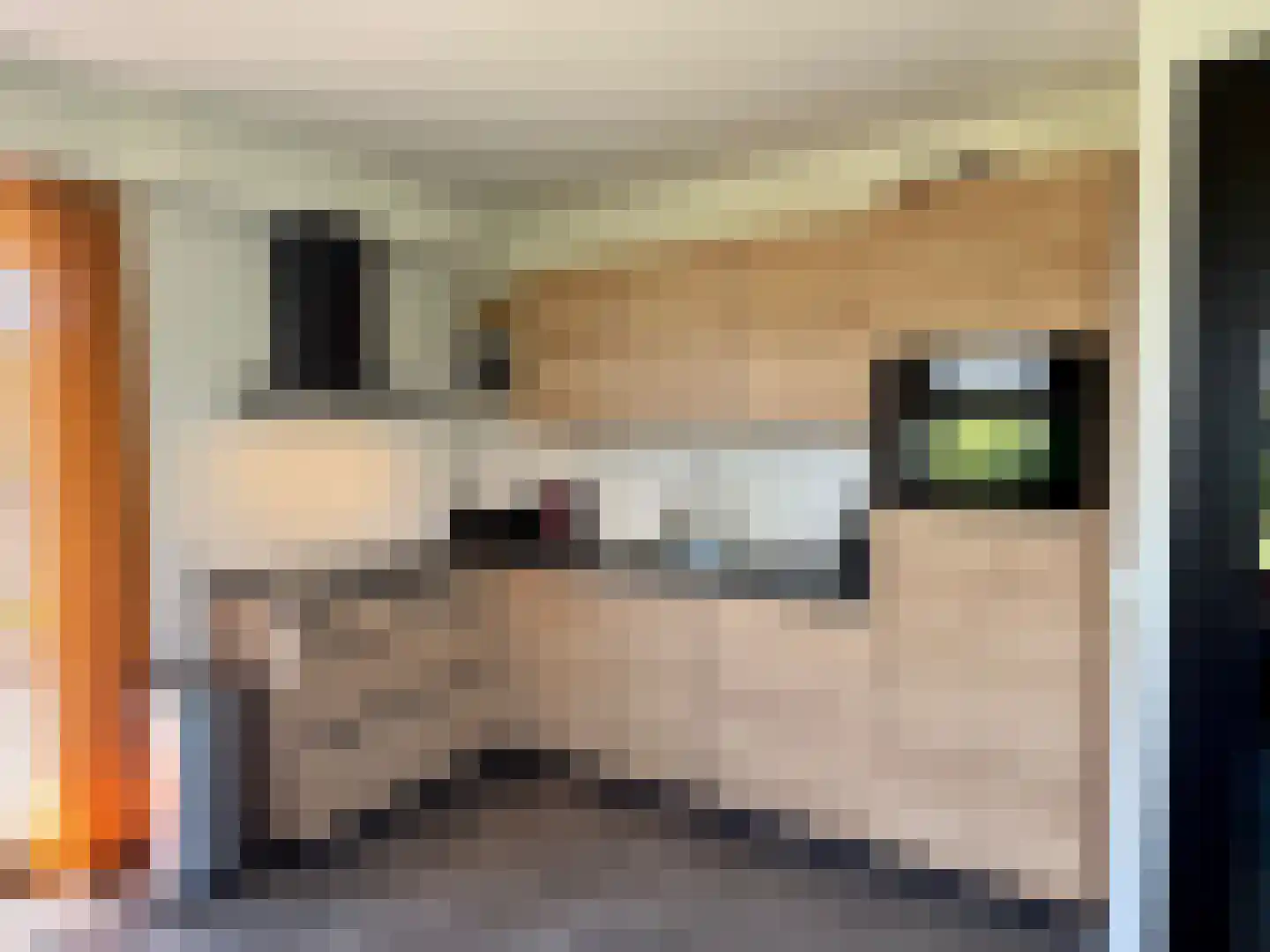 Het Eyland 4 Sint Nicolaasga thumbnail 30