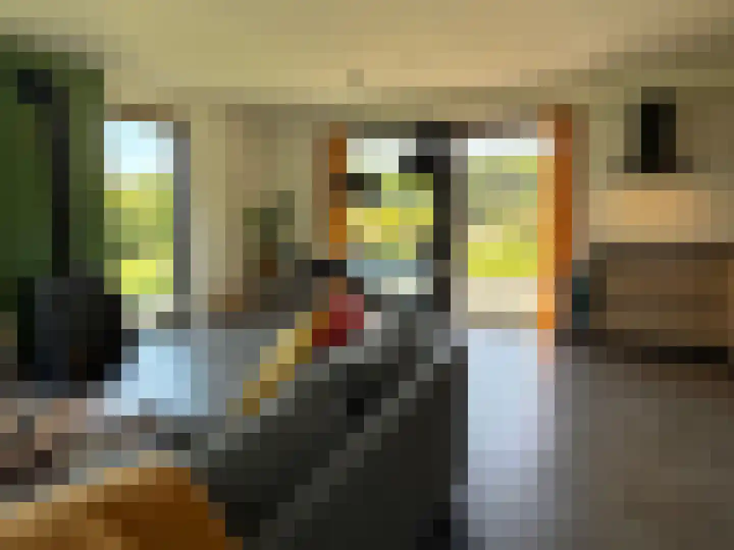 Het Eyland 4 Sint Nicolaasga thumbnail 32