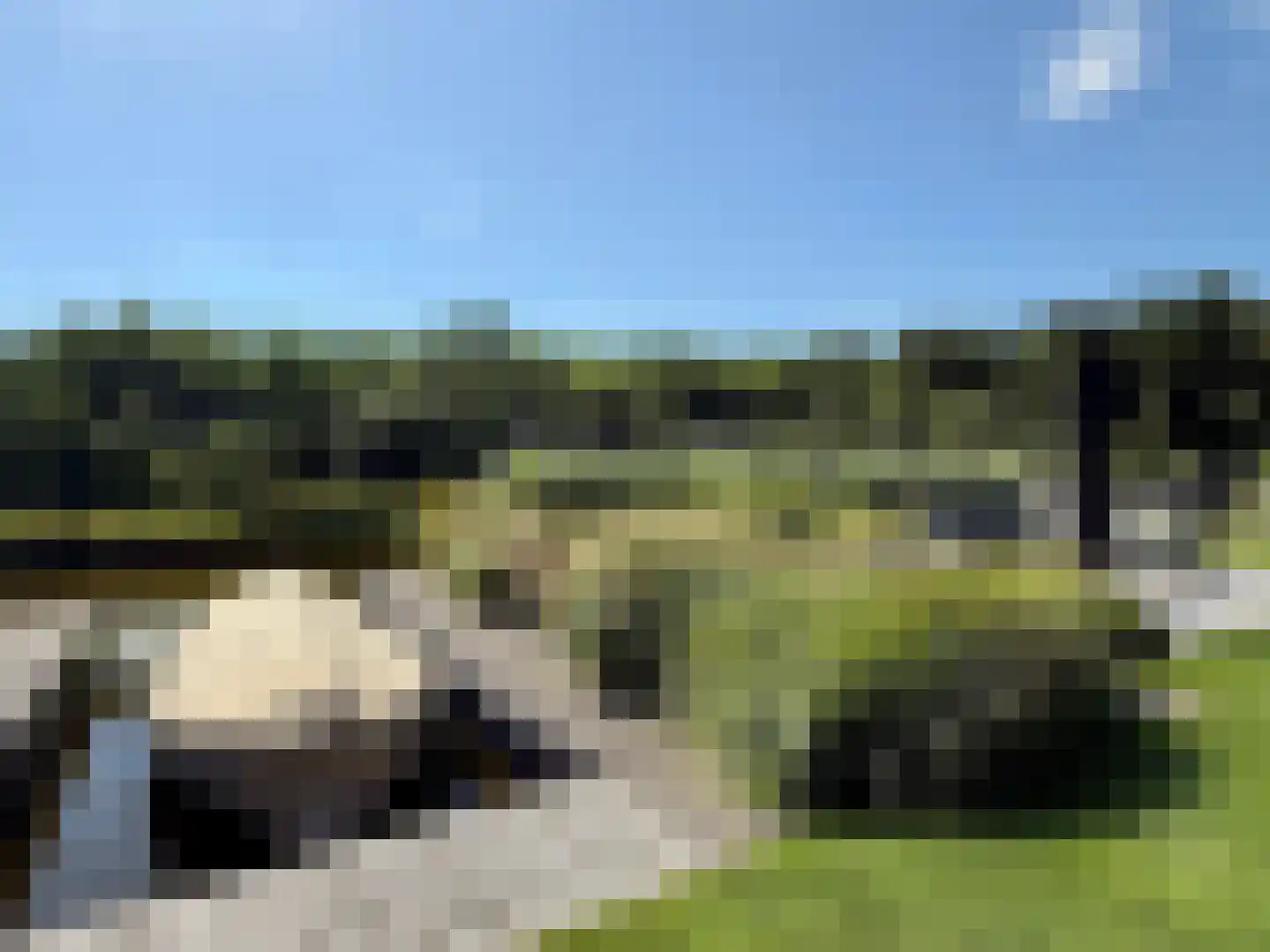 Het Eyland 4 Sint Nicolaasga thumbnail 46