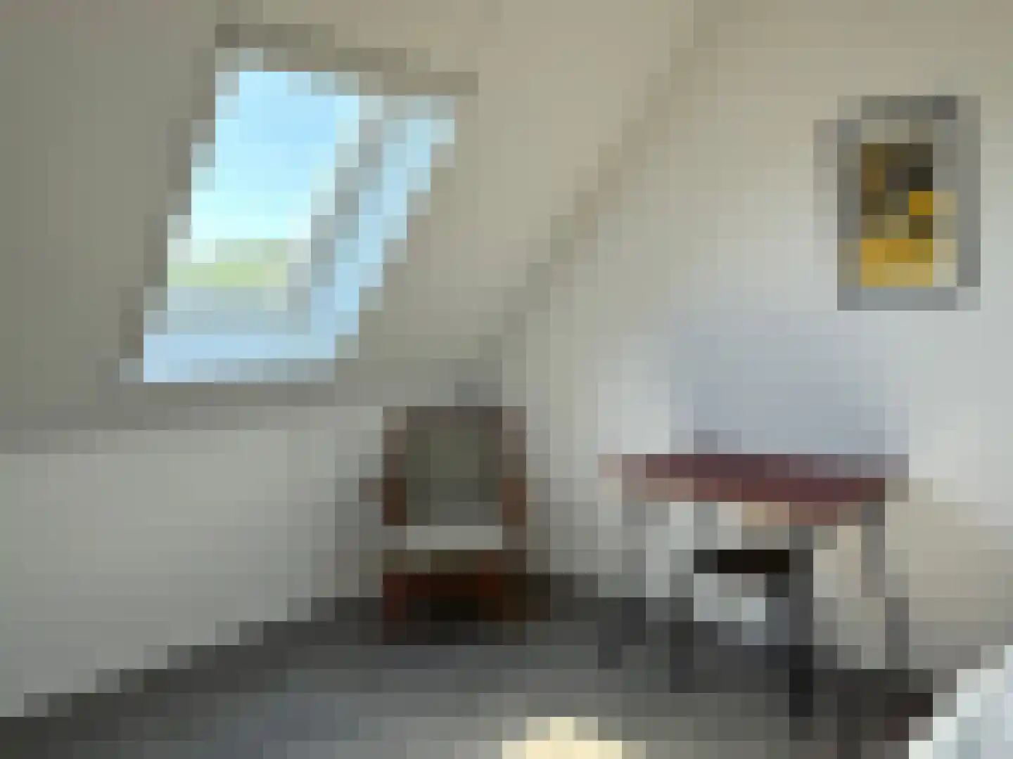 Het Eyland 4 Sint Nicolaasga thumbnail 66