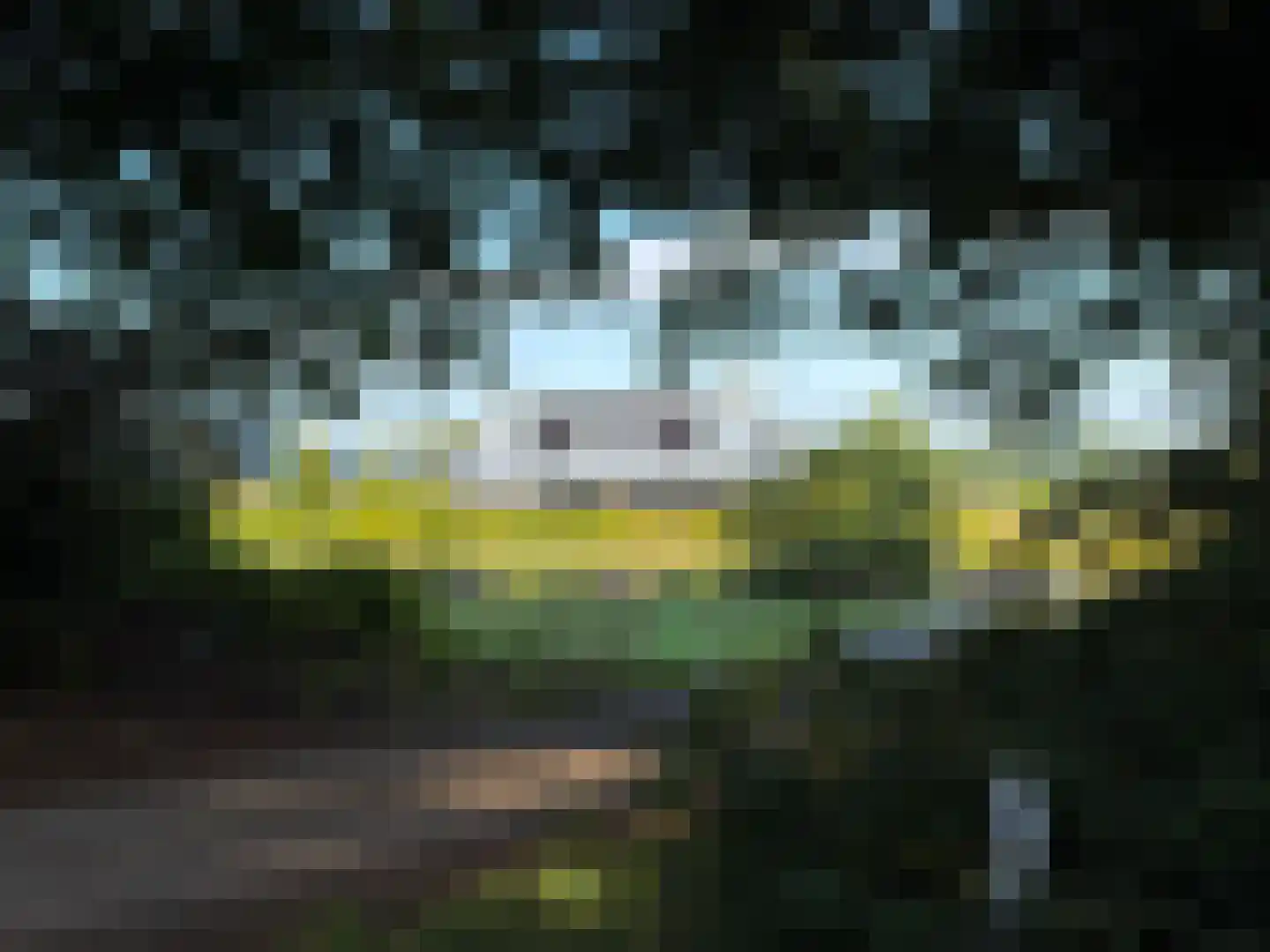 Het Eyland 4 Sint Nicolaasga thumbnail 79