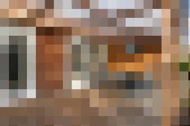 Het Firmament 132 Apeldoorn thumbnail 15