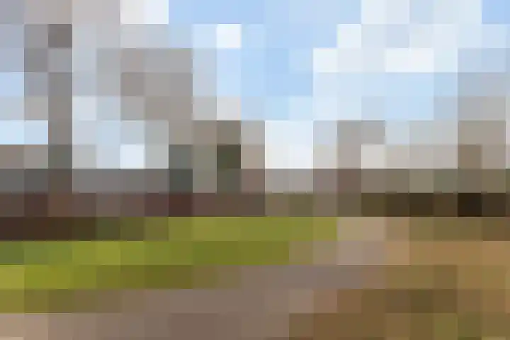 Het Firmament 132 Apeldoorn thumbnail 28