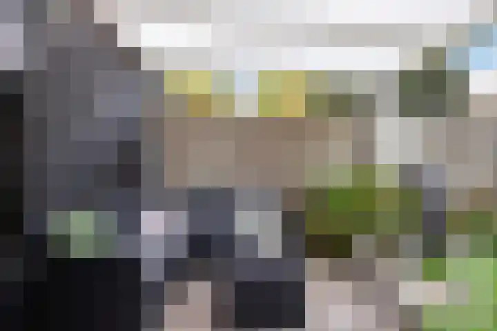 Het Firmament 172 Apeldoorn thumbnail 24
