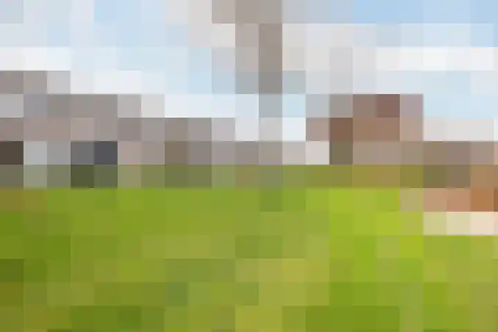 Het Firmament 172 Apeldoorn thumbnail 26
