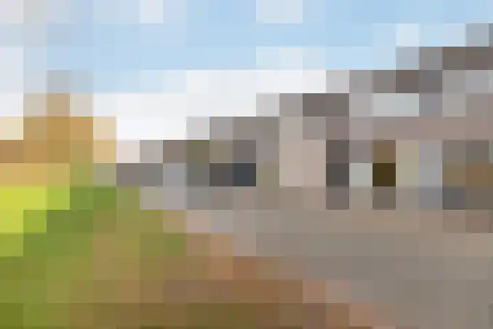 Het Firmament 172 Apeldoorn thumbnail 27