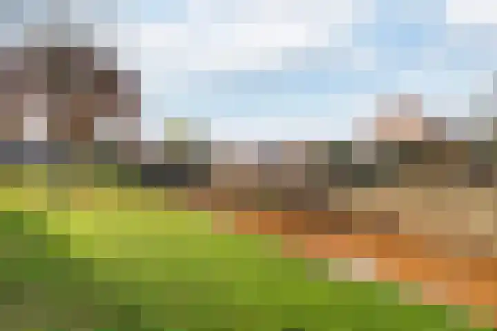 Het Firmament 172 Apeldoorn thumbnail 30