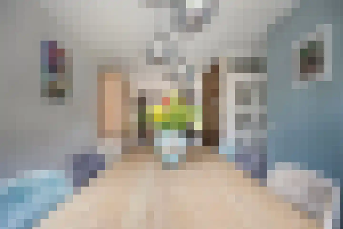 Het Fluitketeltje 14 Gorinchem thumbnail 10