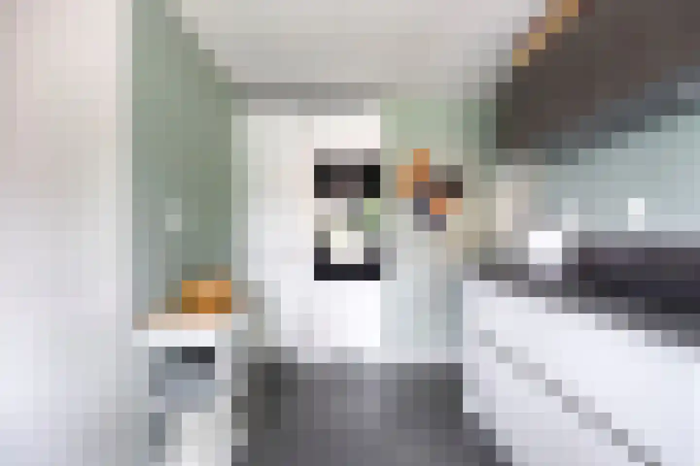 Het Fluitketeltje 14 Gorinchem thumbnail 12